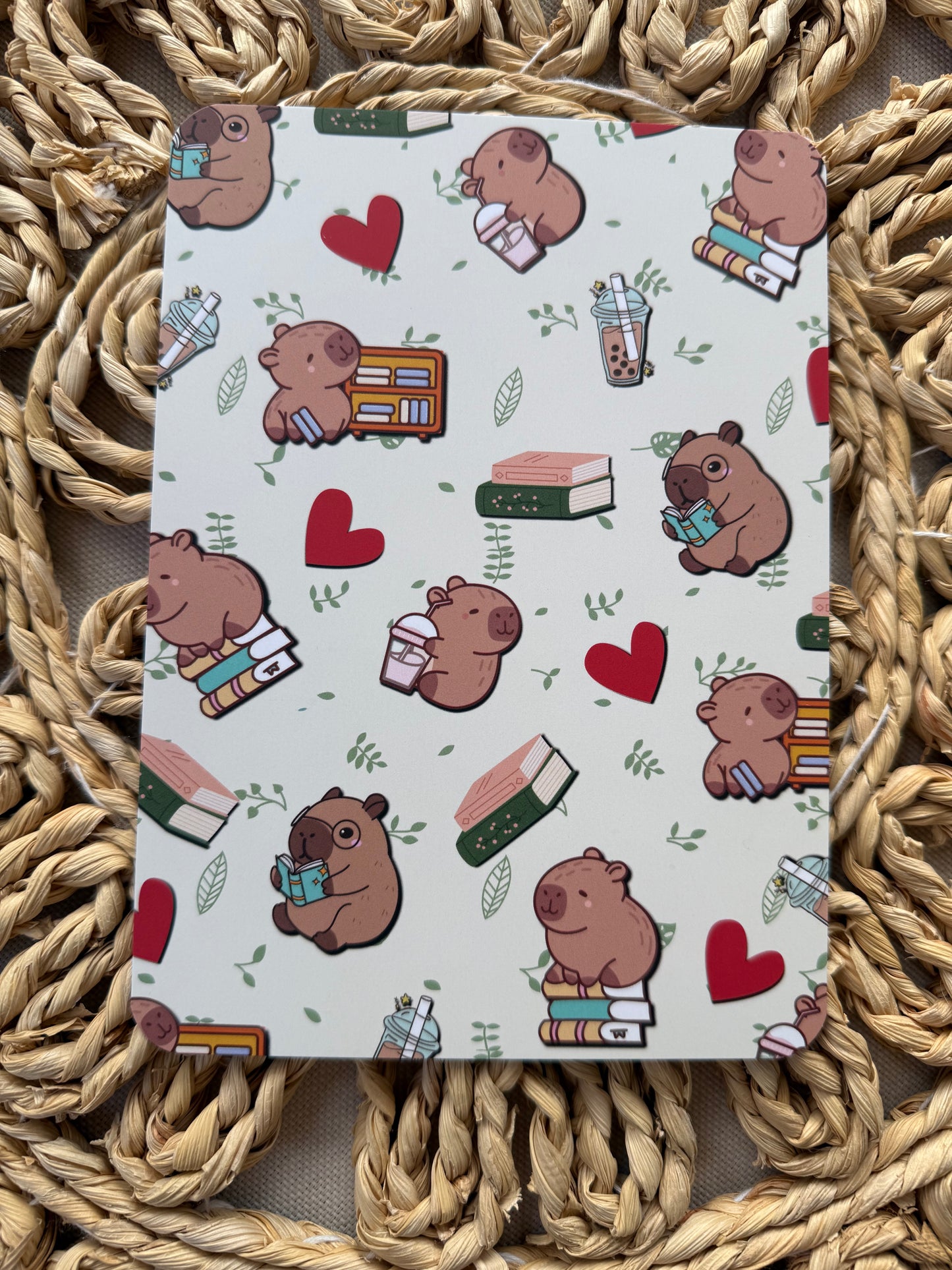 Capybara Kindle Insert