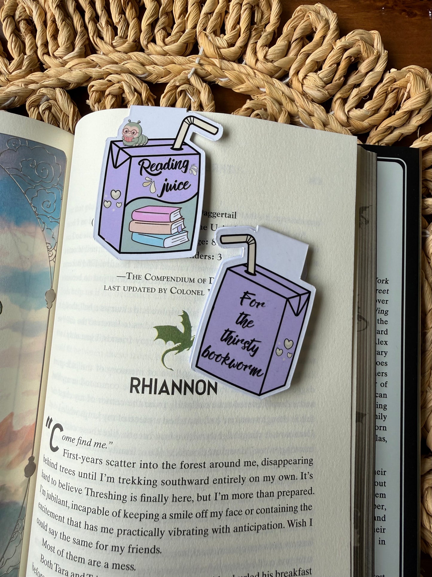 Reading Juice Magnetic Bookmark