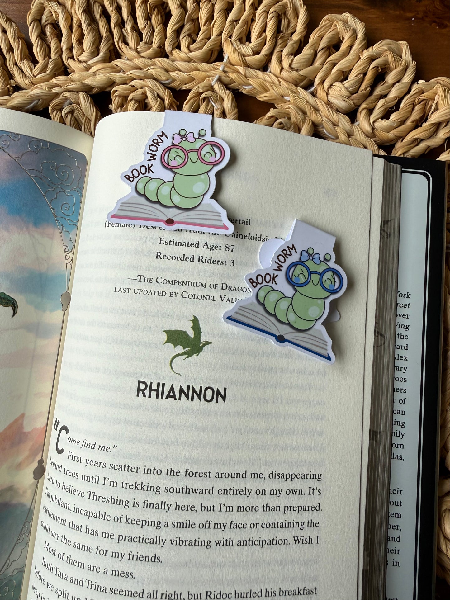 Bookworm Magnetic Bookmark