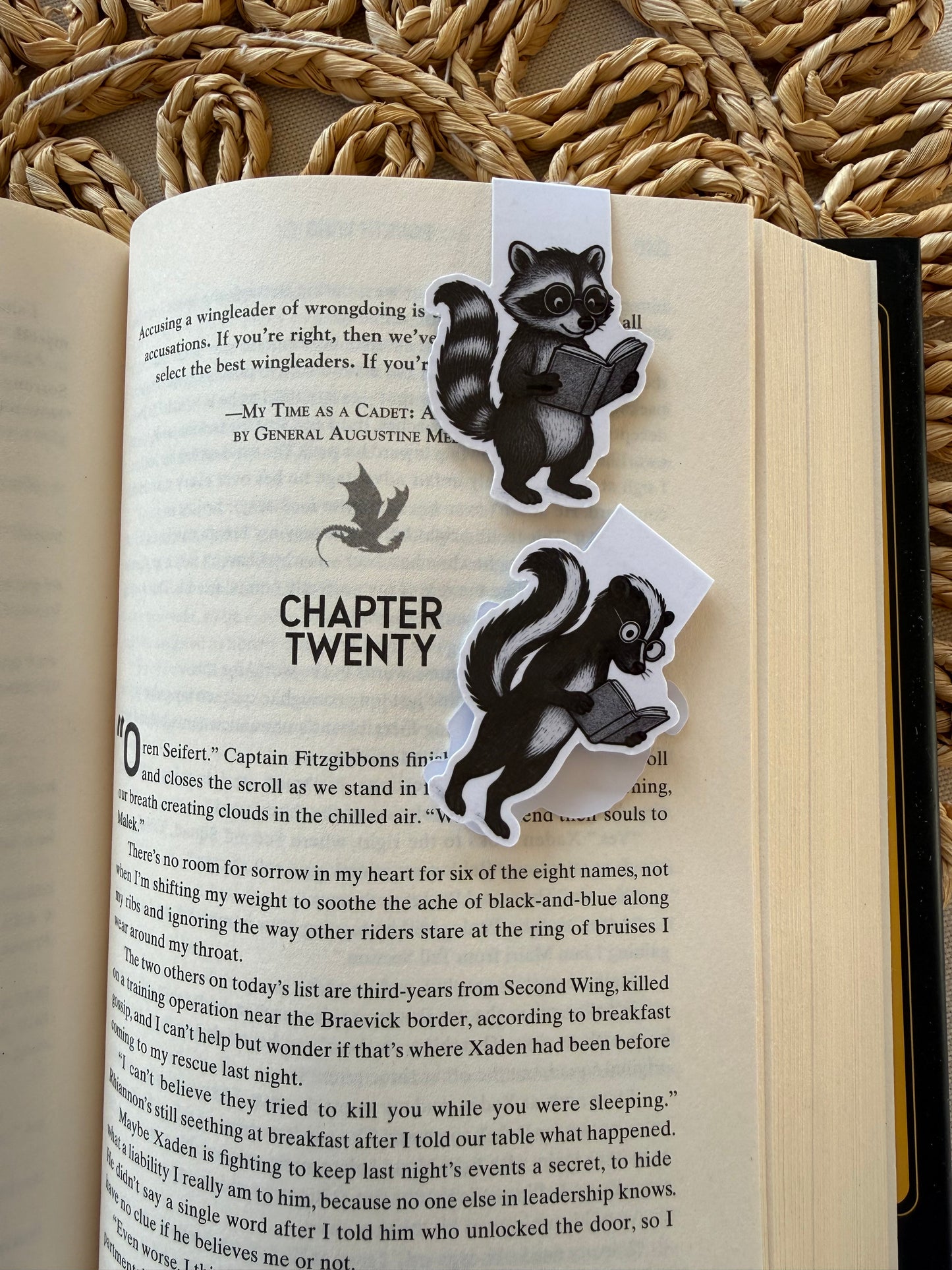 Raccoon/skunk Magnetic Bookmark