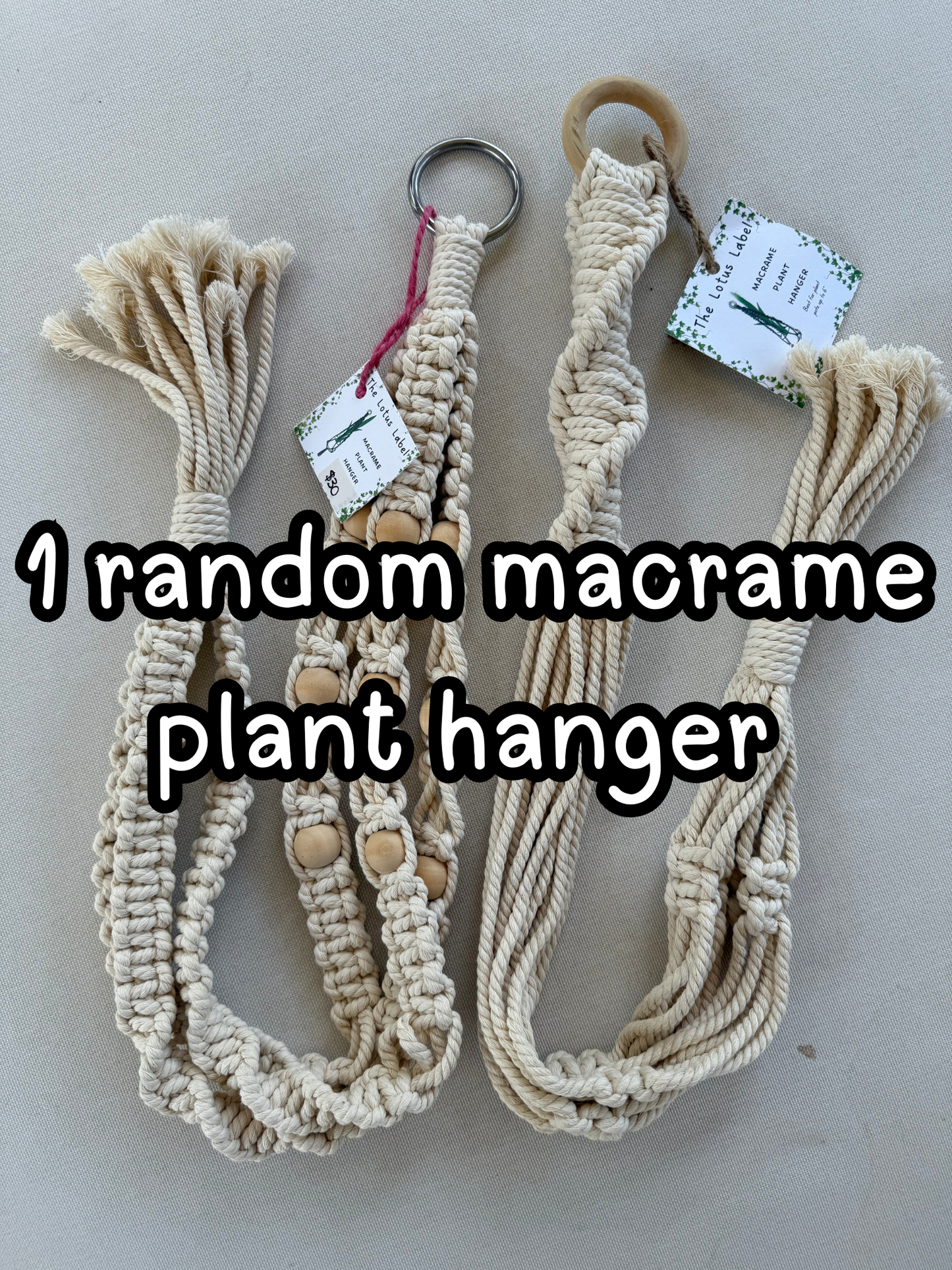 Mystery Plant Lovers Grab Bag